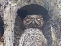 Sortie Phalsbourg CV Wingen 28 02 2016 (33)